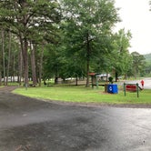 Review photo of Russellville Campground — Lake Dardanelle State Park by Kevin H., July 18, 2021