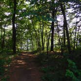 Review photo of Lake Wissota State Park Campground by Debra M., July 18, 2021