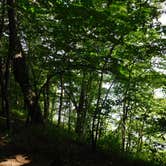 Review photo of Lake Wissota State Park Campground by Debra M., July 18, 2021