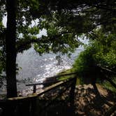 Review photo of Lake Wissota State Park Campground by Debra M., July 18, 2021