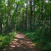 Review photo of Lake Wissota State Park Campground by Debra M., July 18, 2021