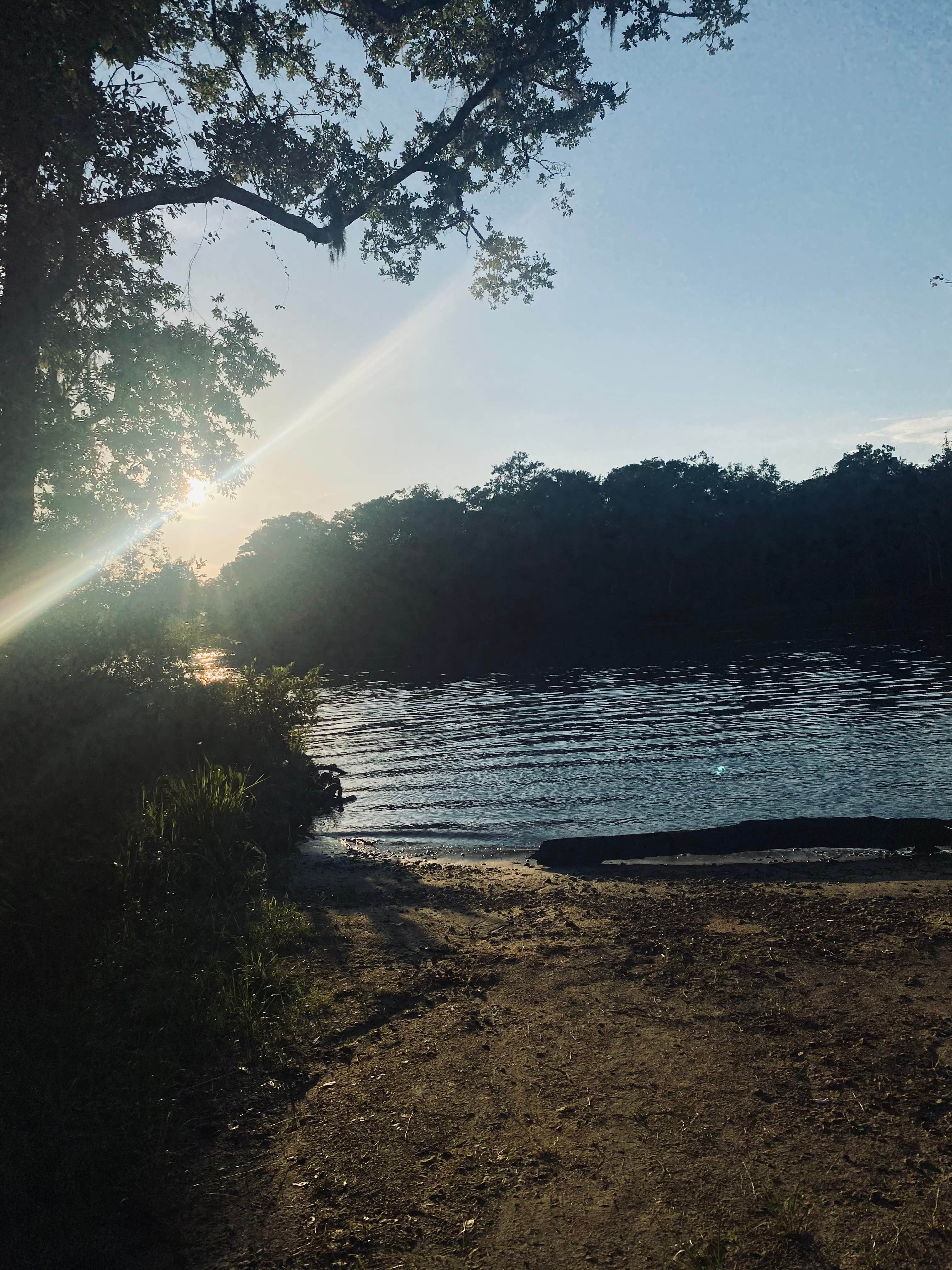 Camper-submitted photo at Womack Creek Campground — Tate's Hell State Forest near Sopchoppy, FL