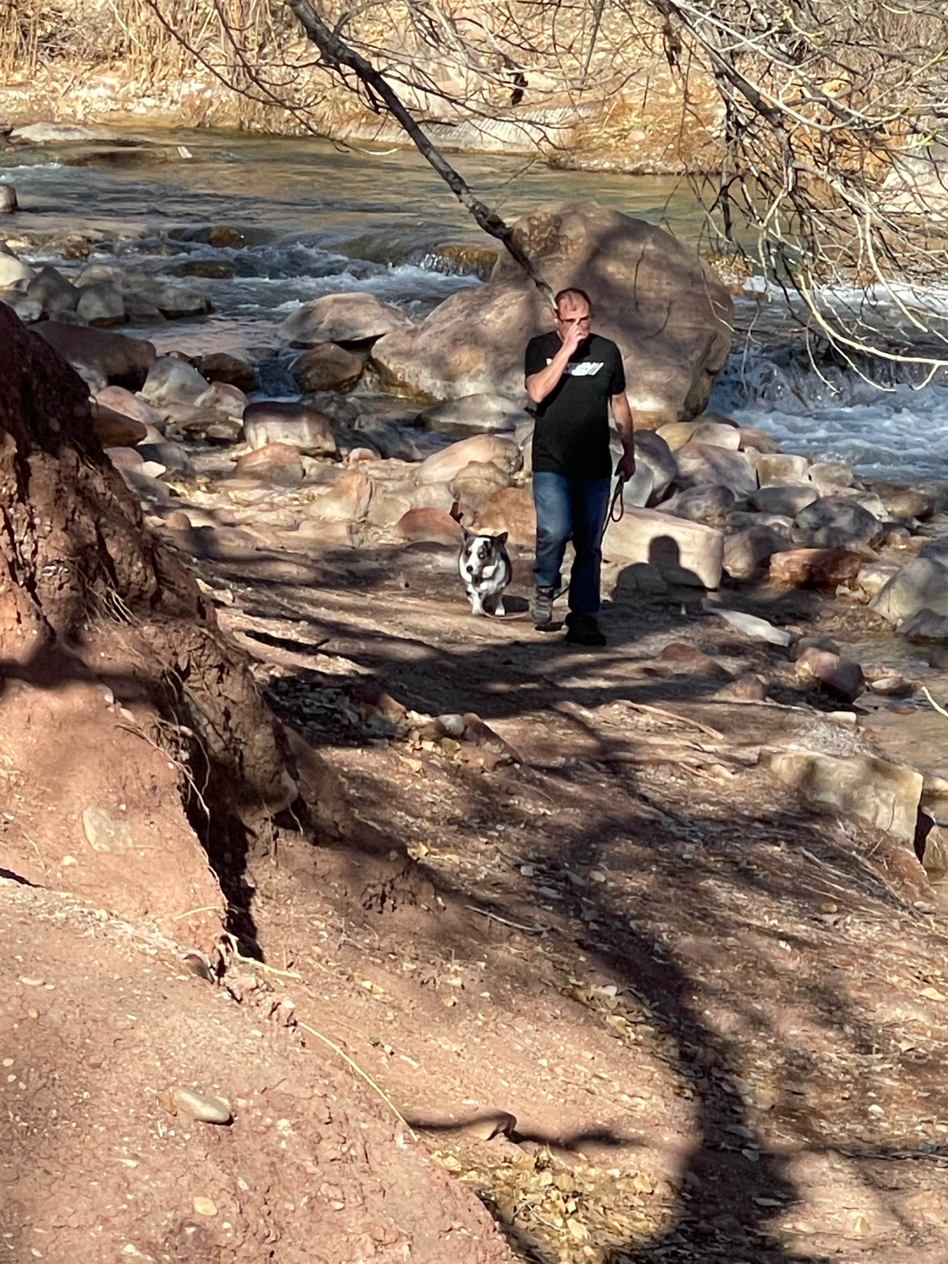 Michele H.'s photo of camping with pets at Zion Canyon Campground in Utah