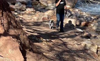 Michele H.'s photo of camping with pets at Zion Canyon Campground in Utah