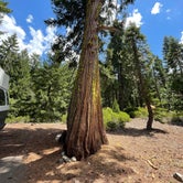 Review photo of Upper Jamison Creek Campground — Plumas-Eureka State Park by Kiley S., July 18, 2021