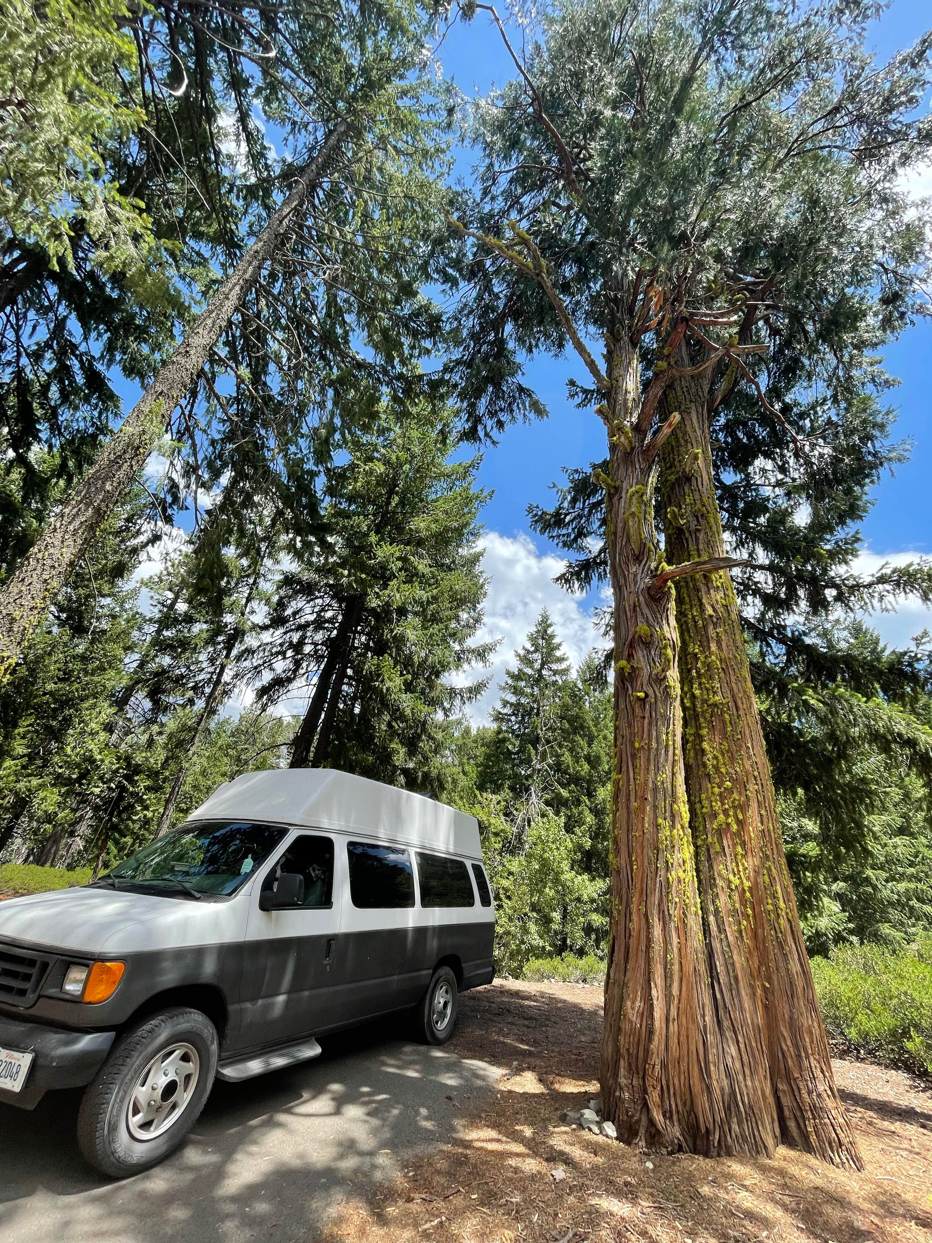 Kiley S.'s photo of rv camping at Plumas-Eureka State Park Campground near Calpine, CA