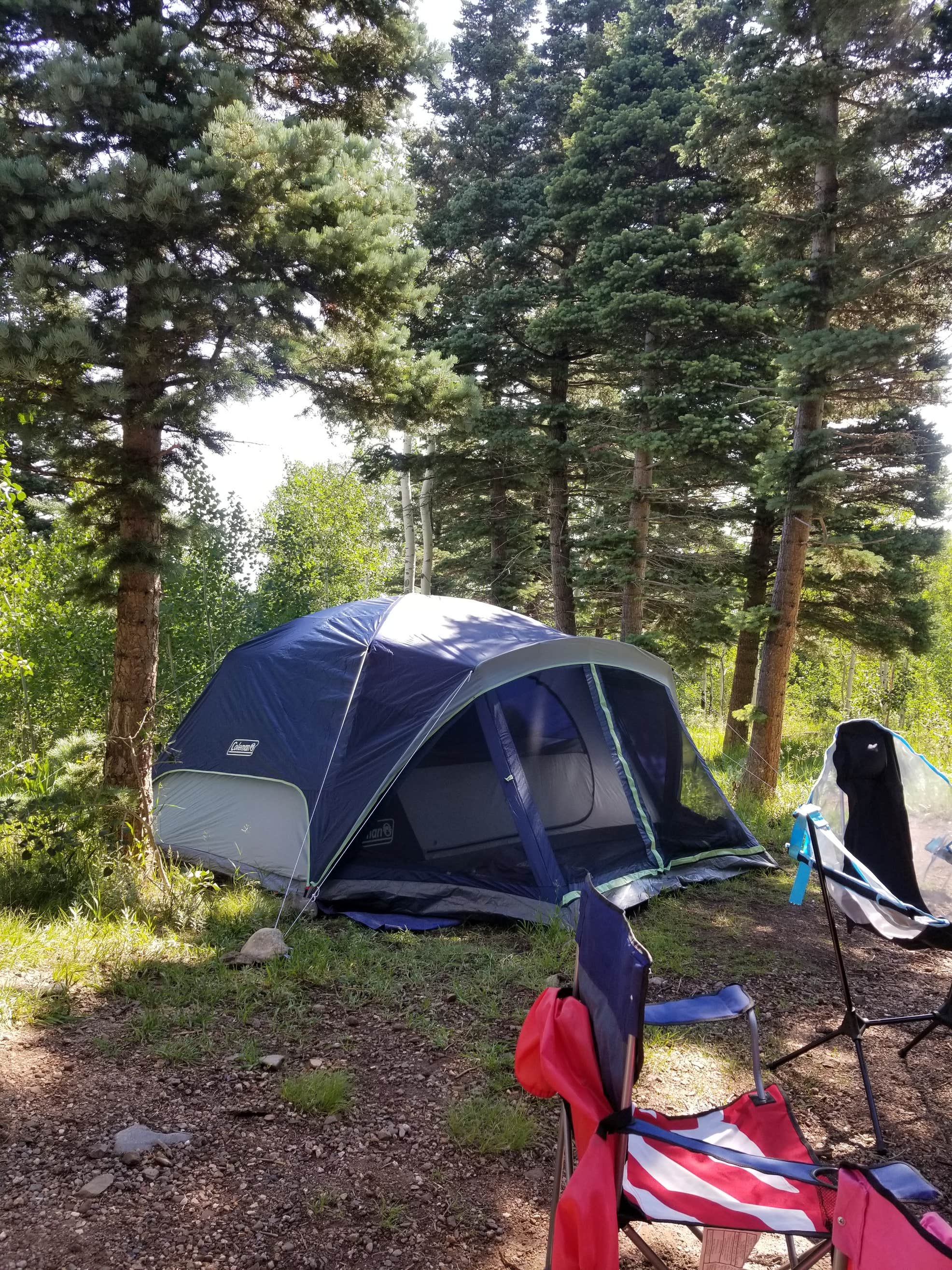 Alvarado Campground | The Dyrt