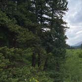 Review photo of Weston Pass Campground by Charlie N., July 18, 2021
