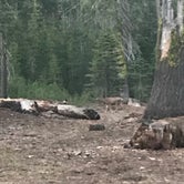 Review photo of Silver Bowl Campground by Darin D., June 14, 2018