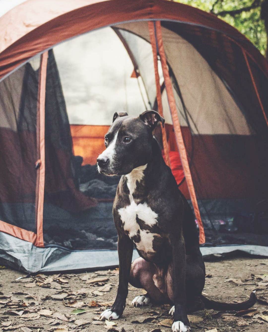 Camper-submitted photo at Winters-Elm Creek Reservoir near Hords Creek Lake