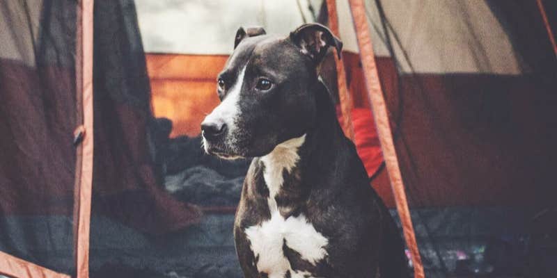 Camper submitted image from Winters-Elm Creek Reservoir