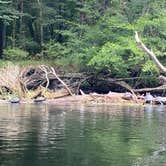 Review photo of Gilchrist Blue Springs State Park Campground by Jenn B., July 18, 2021