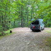 Review photo of Maidstone State Park — Maidstone State Forest by Ted D., July 19, 2021