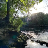 Review photo of Suwannee River State Park Campground by Jenn B., July 19, 2021