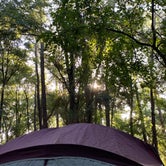 Review photo of Suwannee River State Park Campground by Jenn B., July 19, 2021