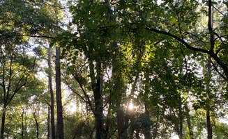 Jenn B.'s photo at Suwannee River State Park Campground in Florida