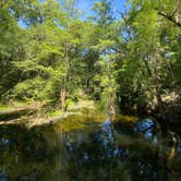 Review photo of Suwannee River State Park Campground by Jenn B., July 19, 2021