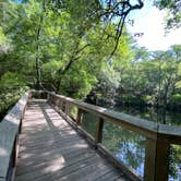 Review photo of Suwannee River State Park Campground by Jenn B., July 19, 2021