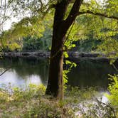 Review photo of Suwannee River State Park Campground by Jenn B., July 19, 2021