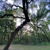 Review photo of Suwannee River State Park Campground by Jenn B., July 19, 2021