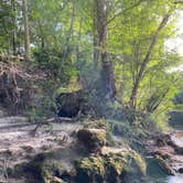 Review photo of Suwannee River State Park Campground by Jenn B., July 19, 2021