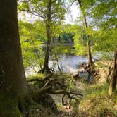 Review photo of Suwannee River State Park Campground by Jenn B., July 19, 2021