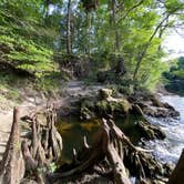 Review photo of Suwannee River State Park Campground by Jenn B., July 19, 2021