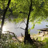 Review photo of Suwannee River State Park Campground by Jenn B., July 19, 2021