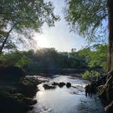 Review photo of Suwannee River State Park Campground by Jenn B., July 19, 2021