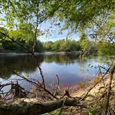 Review photo of Suwannee River State Park Campground by Jenn B., July 19, 2021