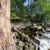 Review photo of Suwannee River State Park Campground by Jenn B., July 19, 2021