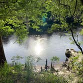 Review photo of Suwannee River State Park Campground by Jenn B., July 19, 2021