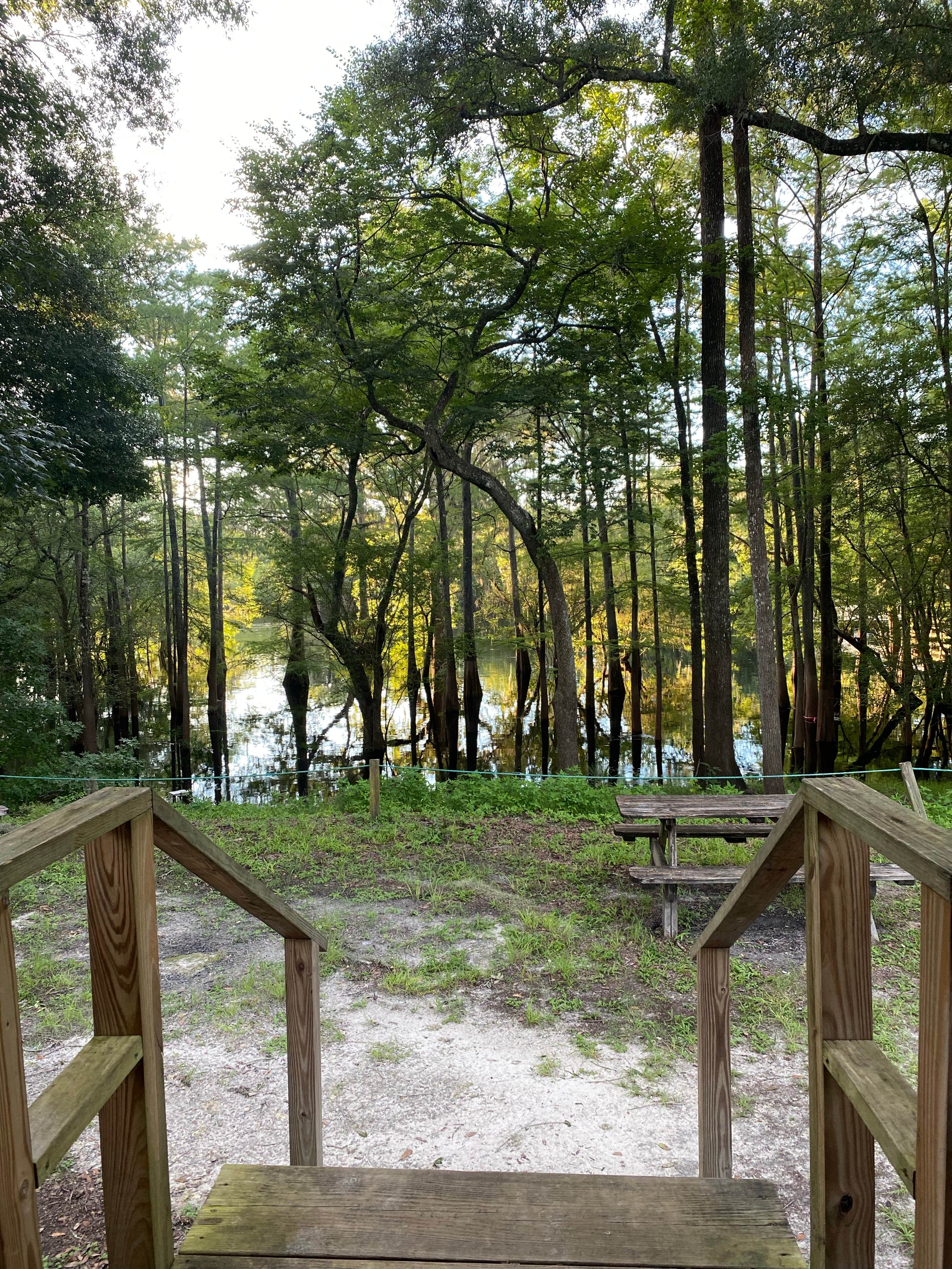 Camper submitted image from Ellie Ray's RV Resort & Lounge - 4