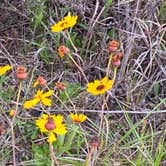 Review photo of Kilpatrick Hammock Campground — Kissimmee Prairie Preserve State Park by Jenn B., July 19, 2021