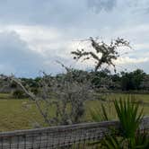 Review photo of Kilpatrick Hammock Campground — Kissimmee Prairie Preserve State Park by Jenn B., July 19, 2021