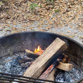 Review photo of Anastasia State Park Campground by Jenn B., July 19, 2021