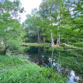 Review photo of Gilchrist Blue Springs State Park Campground by Jenn B., July 18, 2021