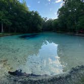 Review photo of Gilchrist Blue Springs State Park Campground by Jenn B., July 18, 2021