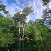 Review photo of Gilchrist Blue Springs State Park Campground by Jenn B., July 18, 2021