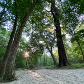 Review photo of Gilchrist Blue Springs State Park Campground by Jenn B., July 18, 2021