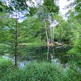 Review photo of Gilchrist Blue Springs State Park Campground by Jenn B., July 18, 2021