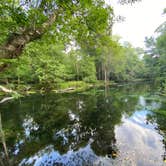 Review photo of Gilchrist Blue Springs State Park Campground by Jenn B., July 18, 2021