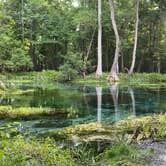 Review photo of Gilchrist Blue Springs State Park Campground by Jenn B., July 18, 2021