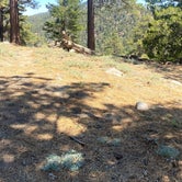 Review photo of San Jacinto - Santa Rosa Mountains Recreation Area by Traci S., July 19, 2021
