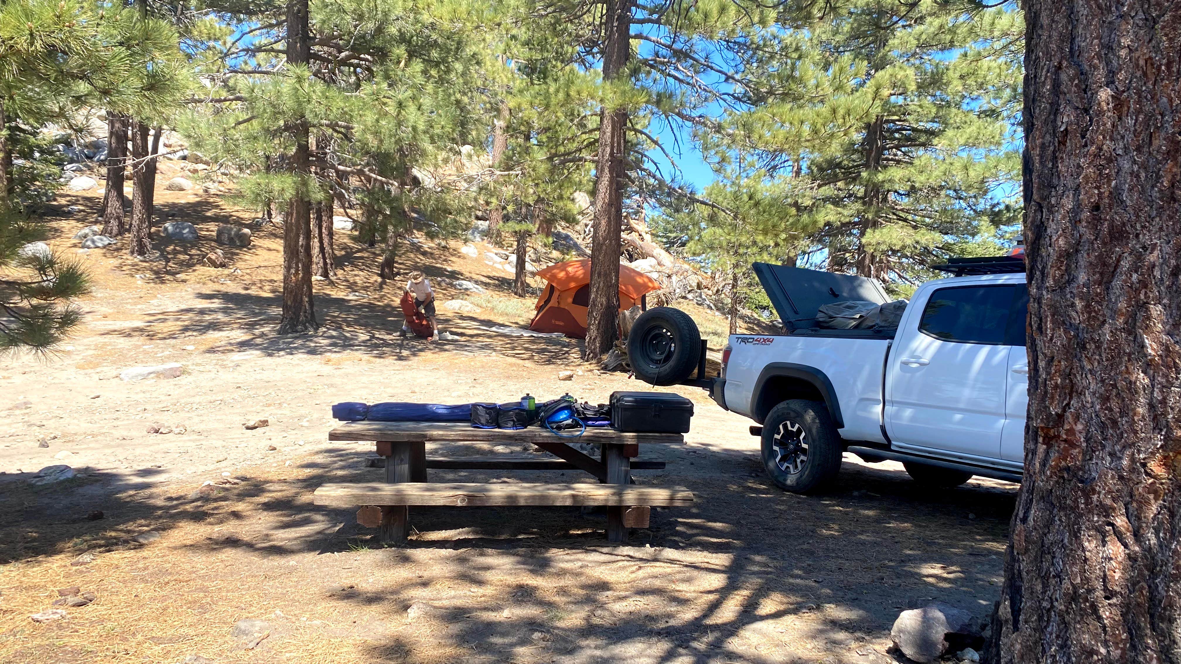 Camper submitted image from San Jacinto - Santa Rosa Mountains Recreation Area - 5