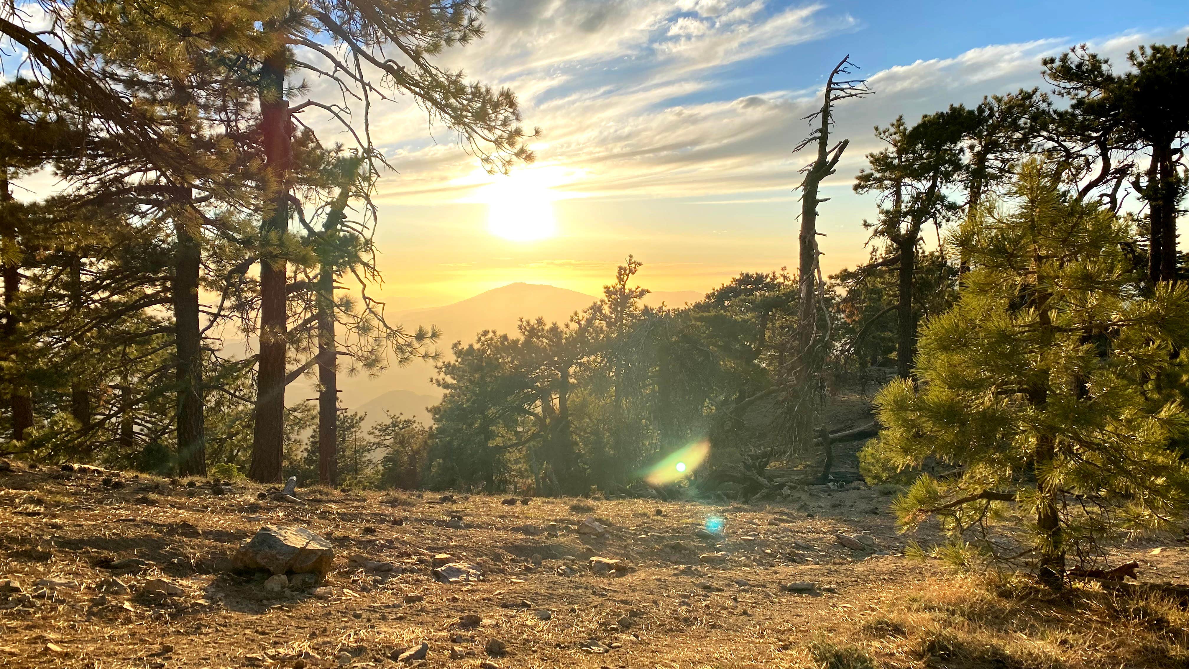 Camper submitted image from San Jacinto - Santa Rosa Mountains Recreation Area - 3