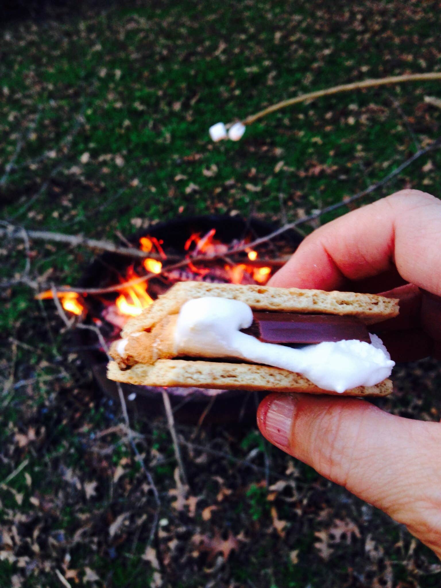 Camper-submitted photo at Bayou Segnette State Park Campground in Louisiana
