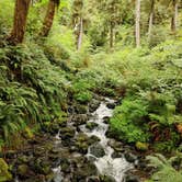 Review photo of Hoh Rain Forest - Olympic National Park by Kasumi , July 19, 2021