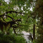 Review photo of Hoh Rain Forest - Olympic National Park by Kasumi , July 19, 2021