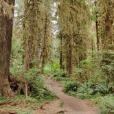 Review photo of Hoh Rain Forest - Olympic National Park by Kasumi , July 19, 2021